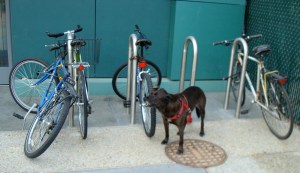 Bike Rack Parking