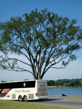 Tour Bus on Ohio Drive