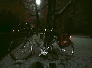 Surly and snow on Hain's Point