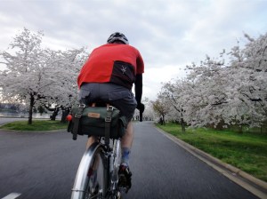 Pre-work cherry blossom ride