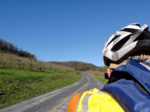 400K checkout orchard country