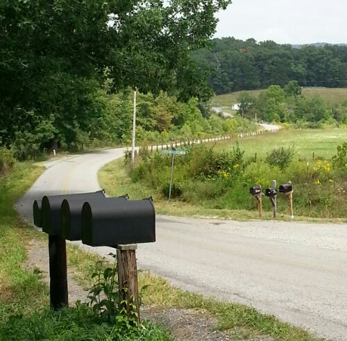 IMG_20120828_065258.jpeg image