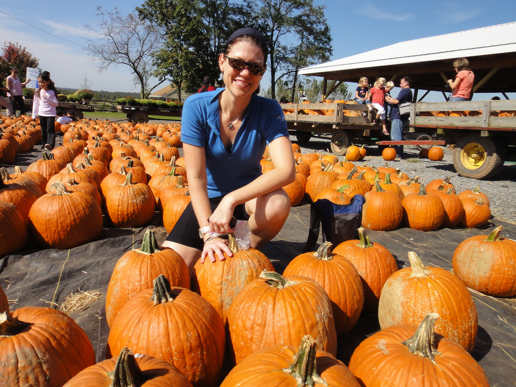 Homestead Farm and pumpkins