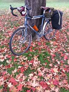 Surly LHT and fall leaves