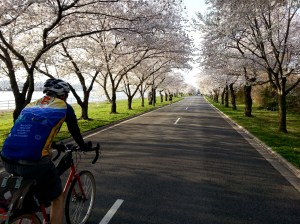 Felkerino and the blossom Canope