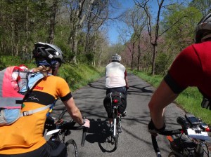Redbud on the 300K Brevet