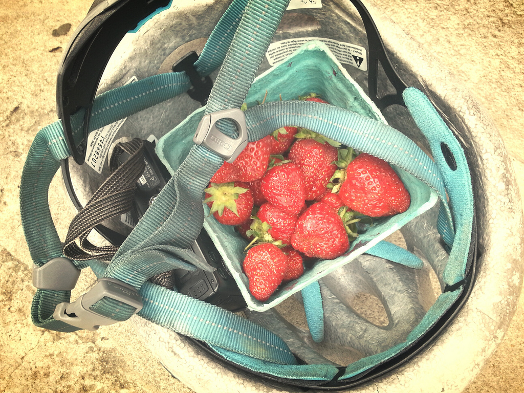 The Versatility of the Bike&nbsp;Helmet