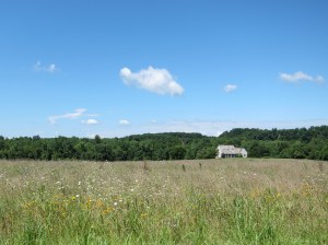 Not Colorado, but still pretty nice