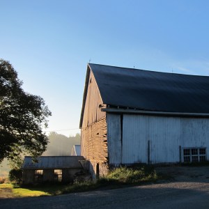 Ye Olde Barn Shot