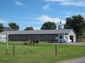 Hard at work on a Saturday