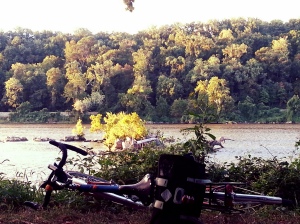 Potomac in the Morning