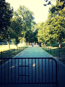 Walkway along the Mall between WWII and Lincoln