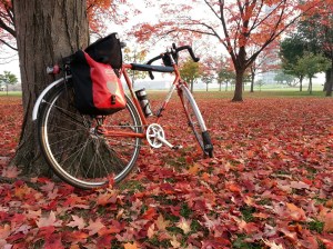 Rivendell Quickbeam. Fall on the Mall
