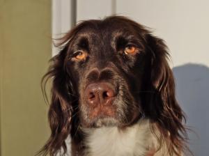 Tom'12 Coffeeneuring