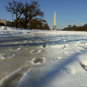Ice on the Mall