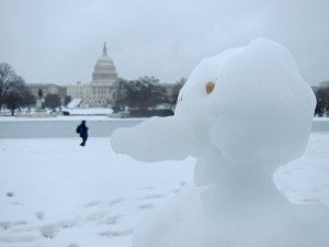Snowbird. I'd even go so far as to say... a snowduck.
