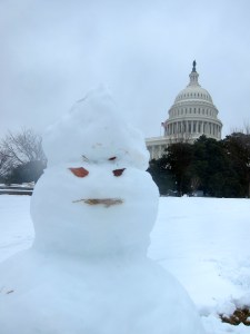 This snowman's leaf eyes and snow hair make me want to start a conversation with it.