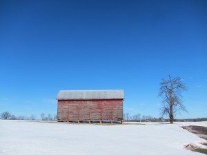 Looks like winter over there. Feels like spring where I'm riding.
