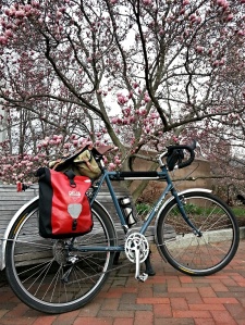 Surly LHT in springtime