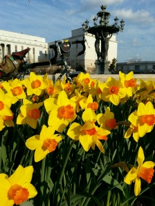 Bartholdi Fountain and daffodils, U.S. Botanic Garden