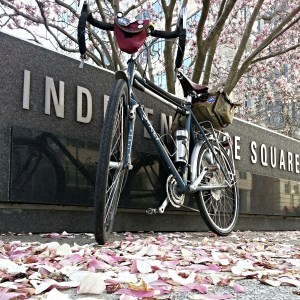 Magnolias and Surly LHT