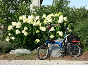 Finding the beauty in the Bike Friday Tikit