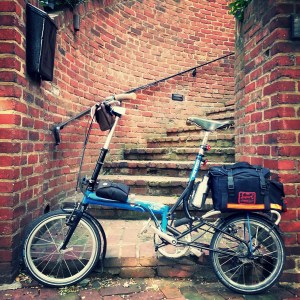 This staircase kept catching my eye as I passed it this week. Finally, I could not resist pausing for a photo. 