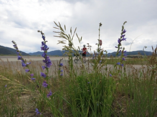 20140712_181913.jpg image