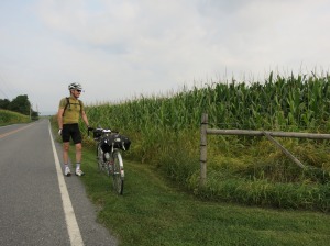 Felkerino and cornfield