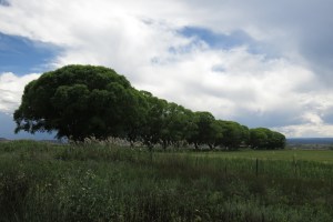 Clouds roll in en route to Ridgway