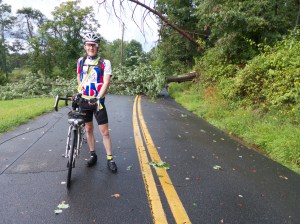 Walking under the fallen tree after the rainstorm.