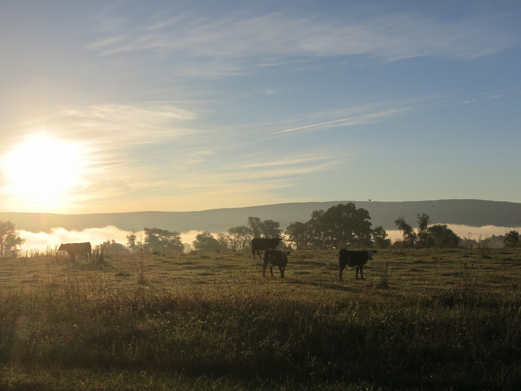 Melting Time Under the&nbsp;Moonlight
