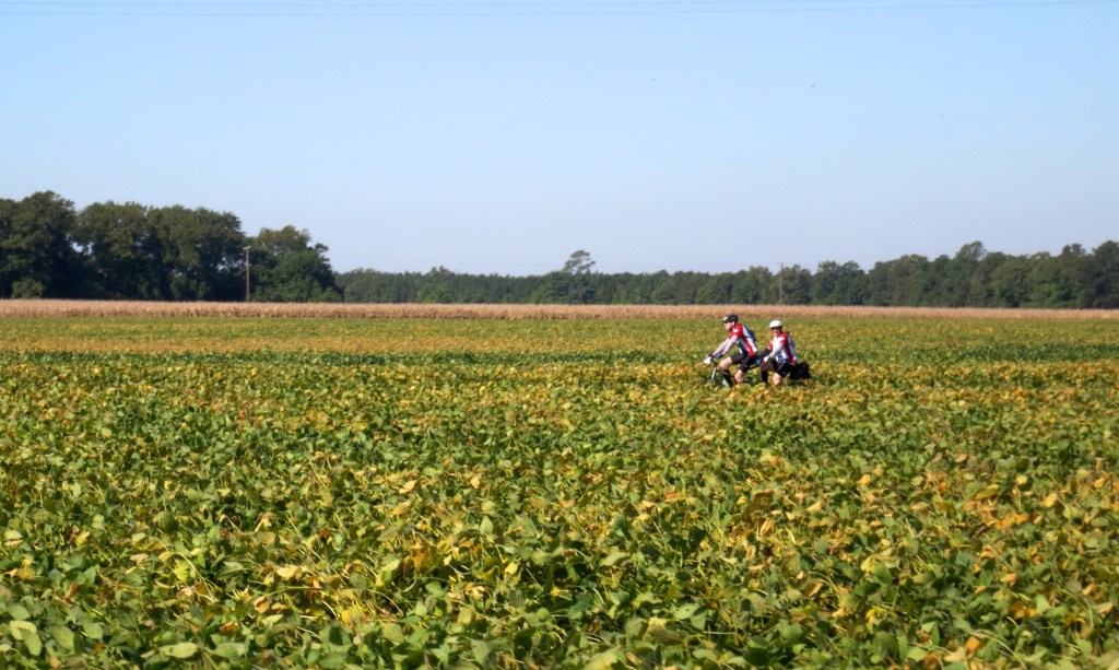 Flat, Fast, & Camaraderie-Filled: My First Time at the Sea Gull&nbsp;Century