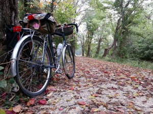 Fall leaves and Surly LHT on C&O