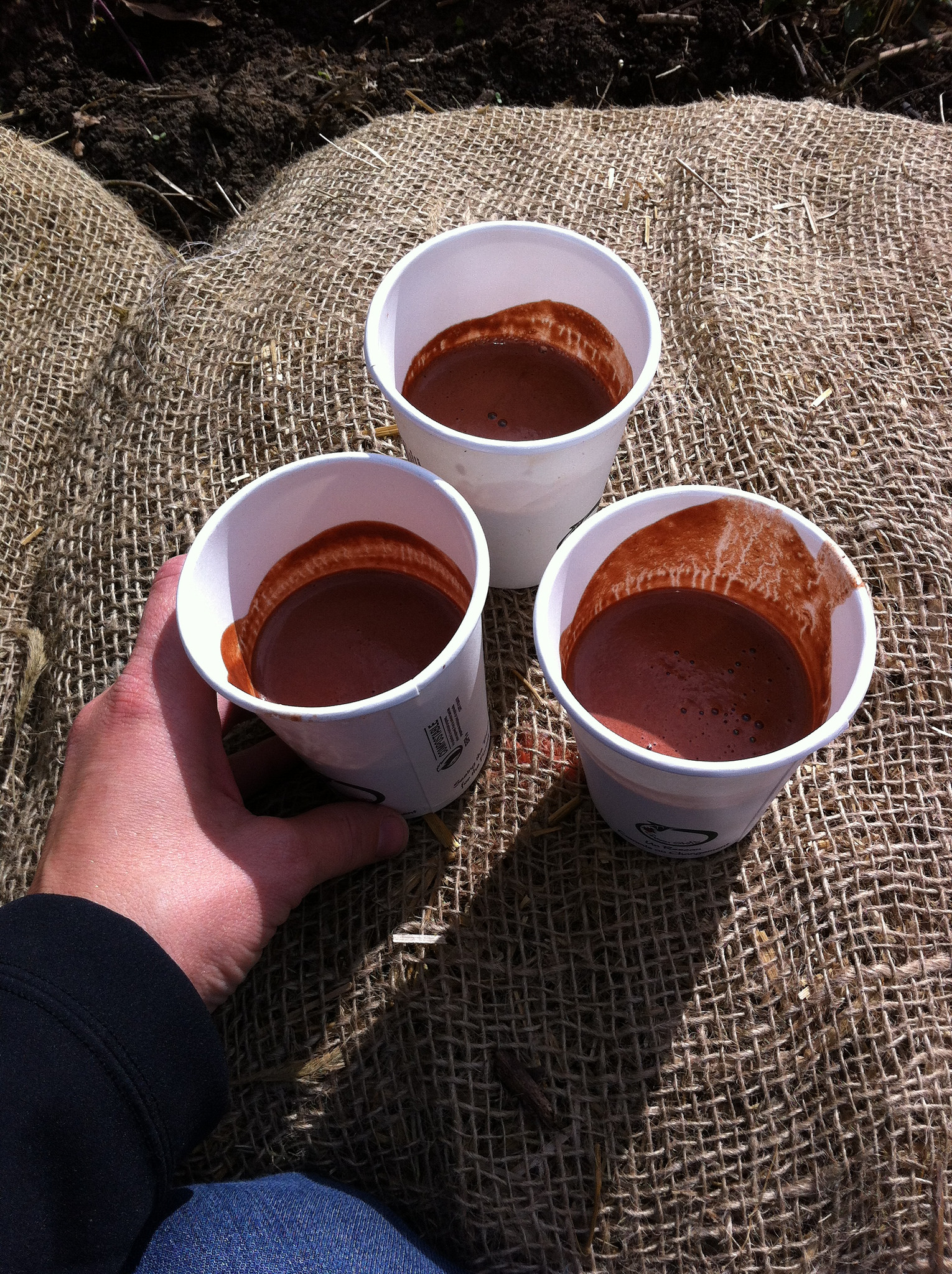 Judy Coffeeneuring Trip 2