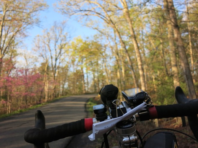 View from the bars on Wolf Gap