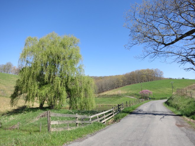 Picture perfect views make the climbs worth it