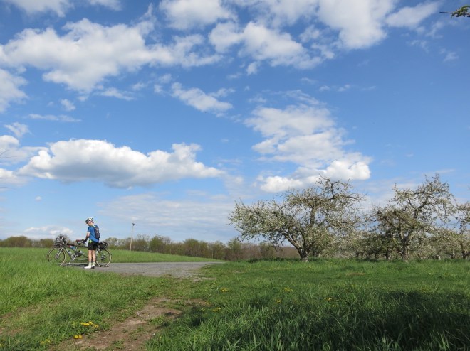 Saddle adjustment in orchard country