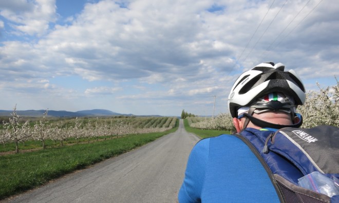 Topping out in orchard country