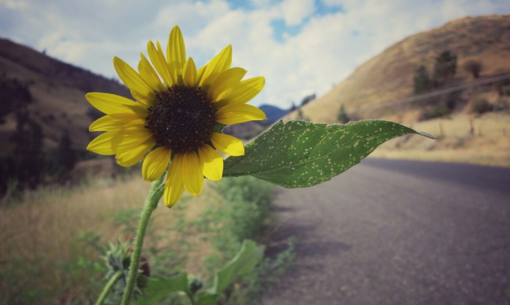 Day 8. Riggins to McCall, Idaho: 50 Miles&nbsp;Up