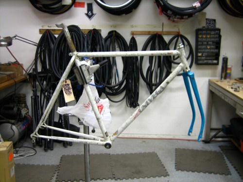 Carolyn - building my bike