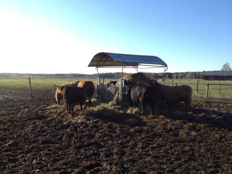 2014-10-18 12.08.09 Jussi Coffeeneuring