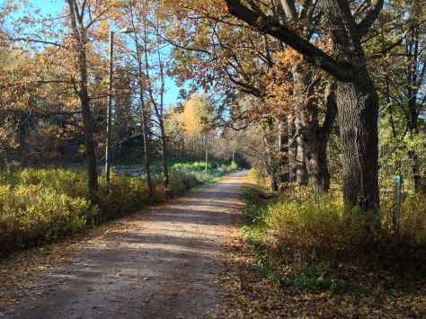 2014-10-18 12.13.48 Jussi Coffeeneuring