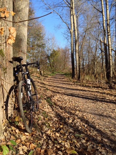 2014-10-18 12.52.07 HDR