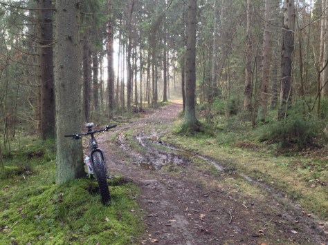 2014-11-16 12.17.16 HDR