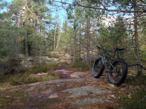 2014-11-16 12.51.03 HDR