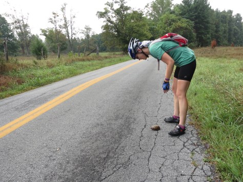 Saving turtles and me