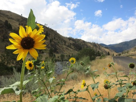 Day 8: Outside of Riggins, Idaho