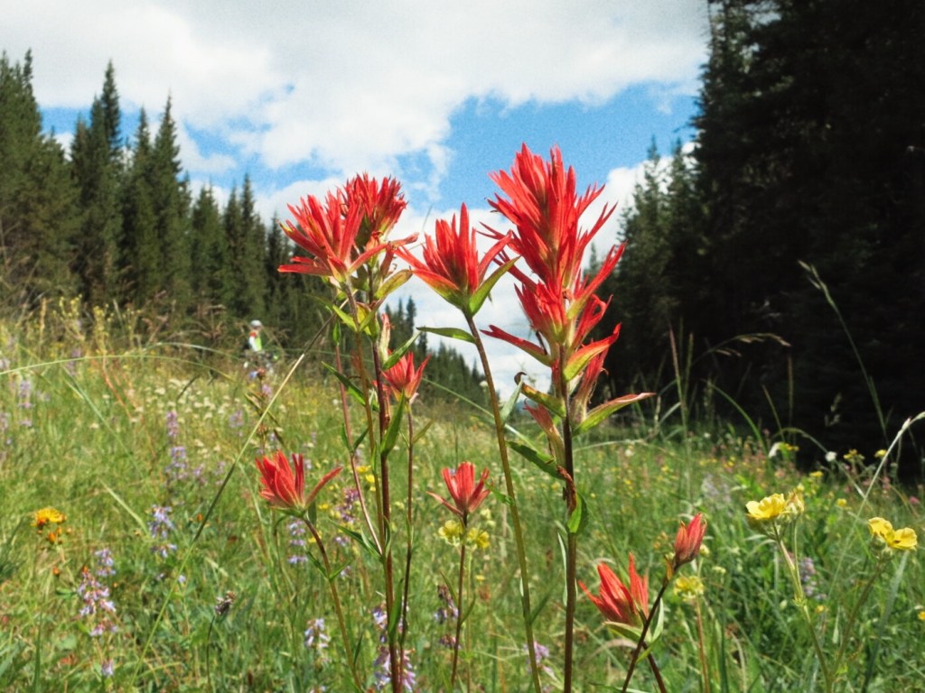 Sierra Cascades Day 9: Crescent Junction to&nbsp;Bend