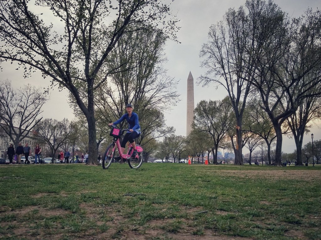 Bike In Bloom&nbsp;Destiny